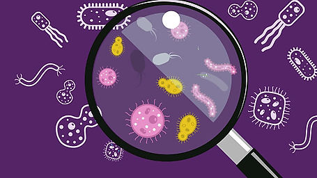Microbiology and infection control